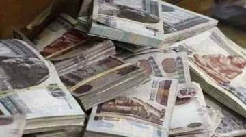 زيادة المعاشات.. تعرف على قيمة مرتبك الجديدة بعد قرار التأمينات لعام 2026